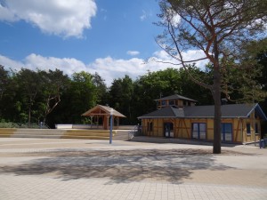 DSC02531-e1487437483621
