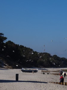 DSC03370-e1487436503569
