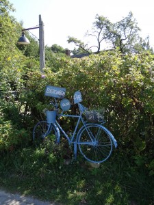 DSC03625-e1487436103791