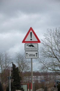 Otterwechsel