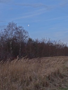Mond